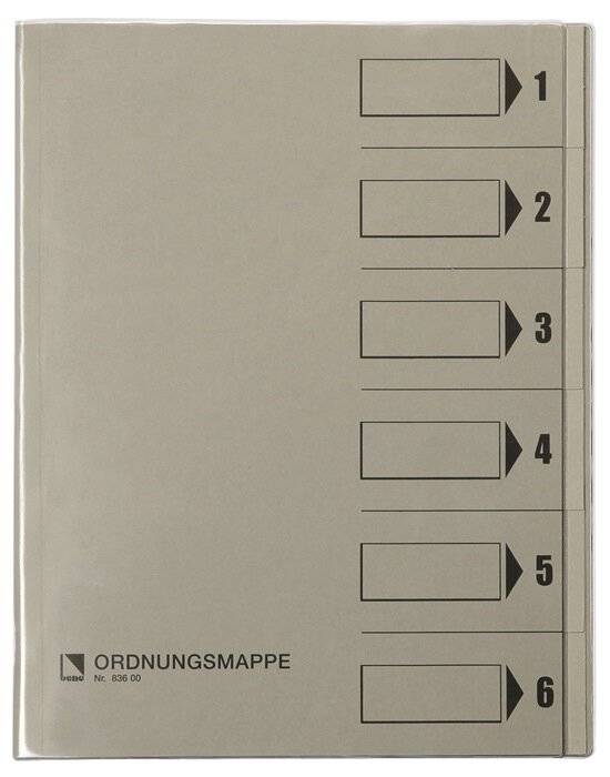 cartella di classificazione bene Rc grigio 250 g 6 tl DIN A4 6 volte grigio-5