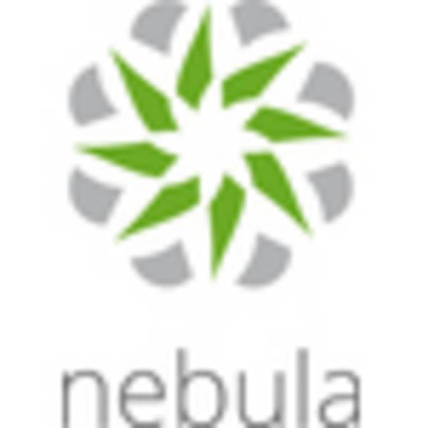 Zyxel E-iCard 1 J. Nebula SecurityPack for NSG200 AV/CF/ID (LIC-NSS-SP-ZZ0007F)