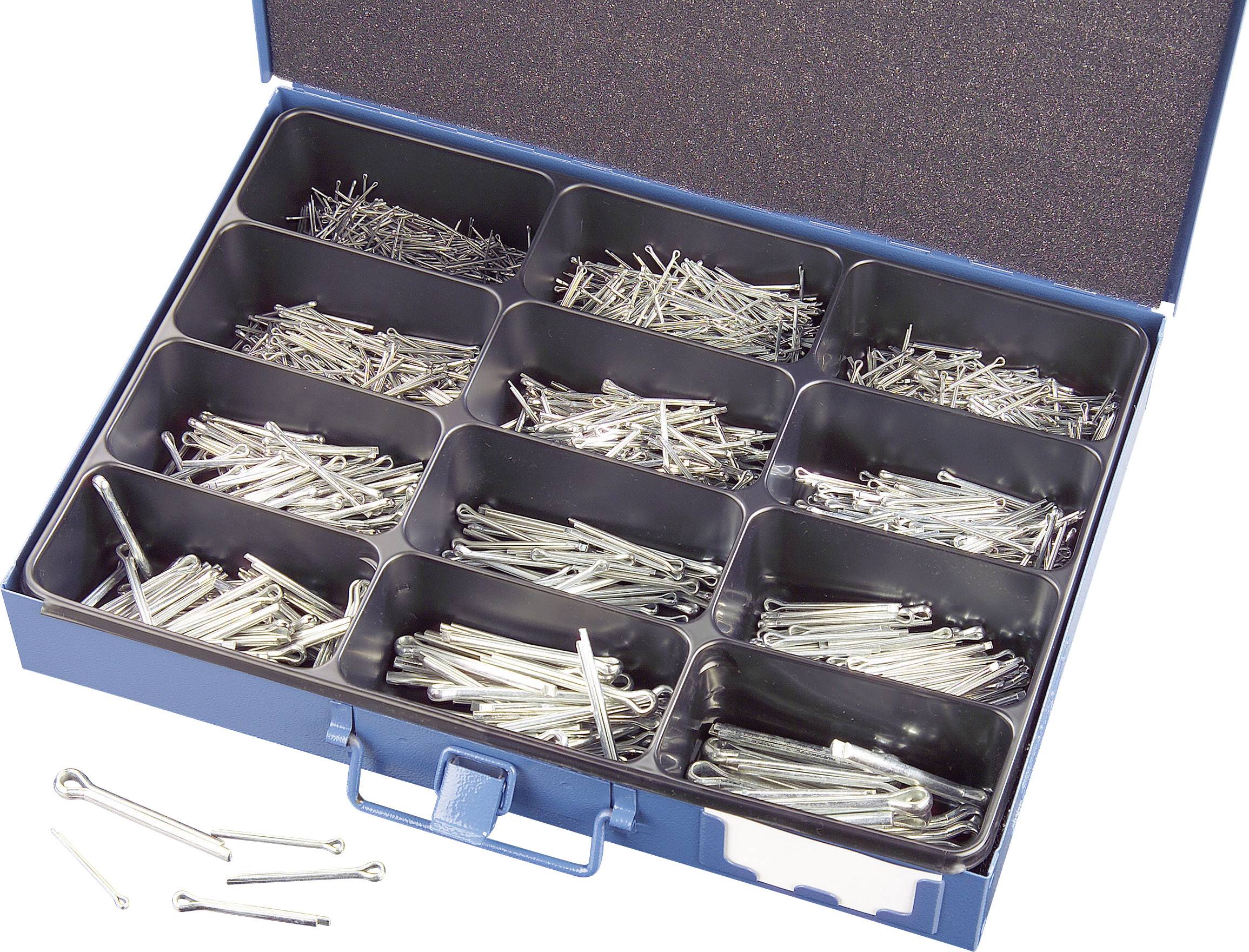 Una scatola blu aperta con diversi scompartimenti, riempita con perni metallici di varie dimensioni.