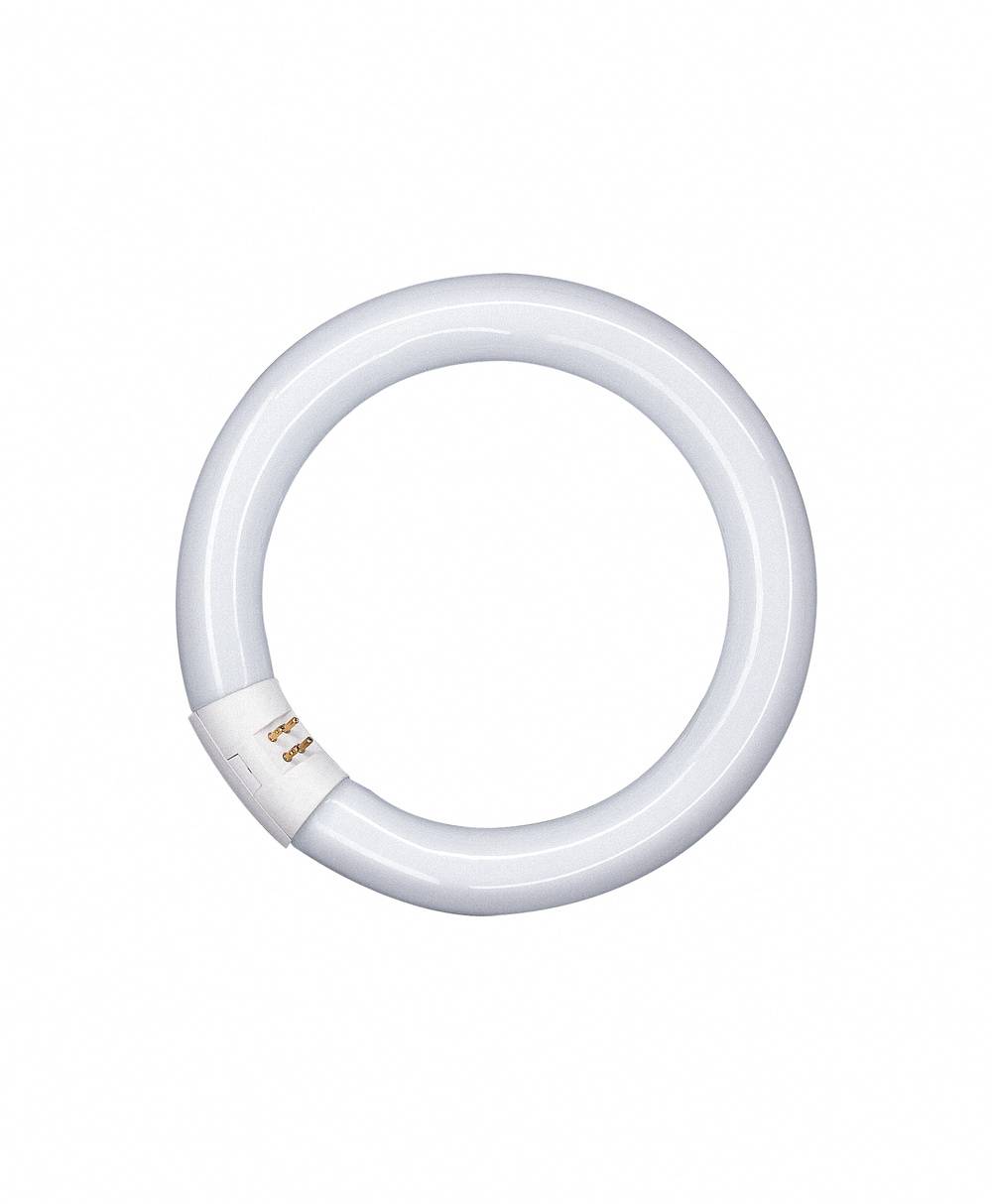 OSRAM - 4008321960139 - LUMILUX® T9 C 40 W/865 G10Q-0