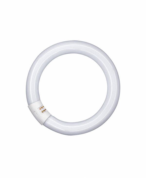 OSRAM - 4008321960139 - LUMILUX® T9 C 40 W/865 G10Q