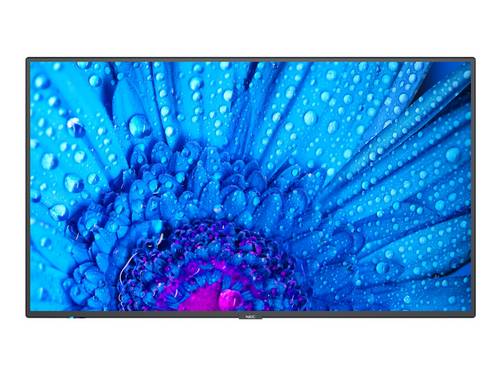 Display digitale Multisync NEC M491 Digital 1232