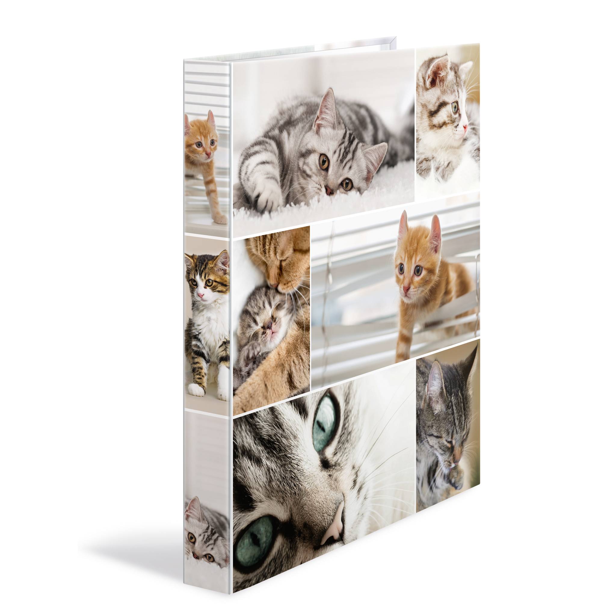 Raccoglitore ad anelli HERMA a 2 anelli DIN A4 3,5 cm con motivo