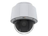 Axis 01967-002 telecamera di sorveglianza Telecamera di sicurezza IP-2