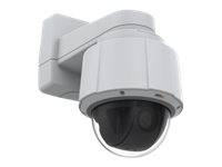 Axis 01967-002 telecamera di sorveglianza Telecamera di sicurezza IP-3