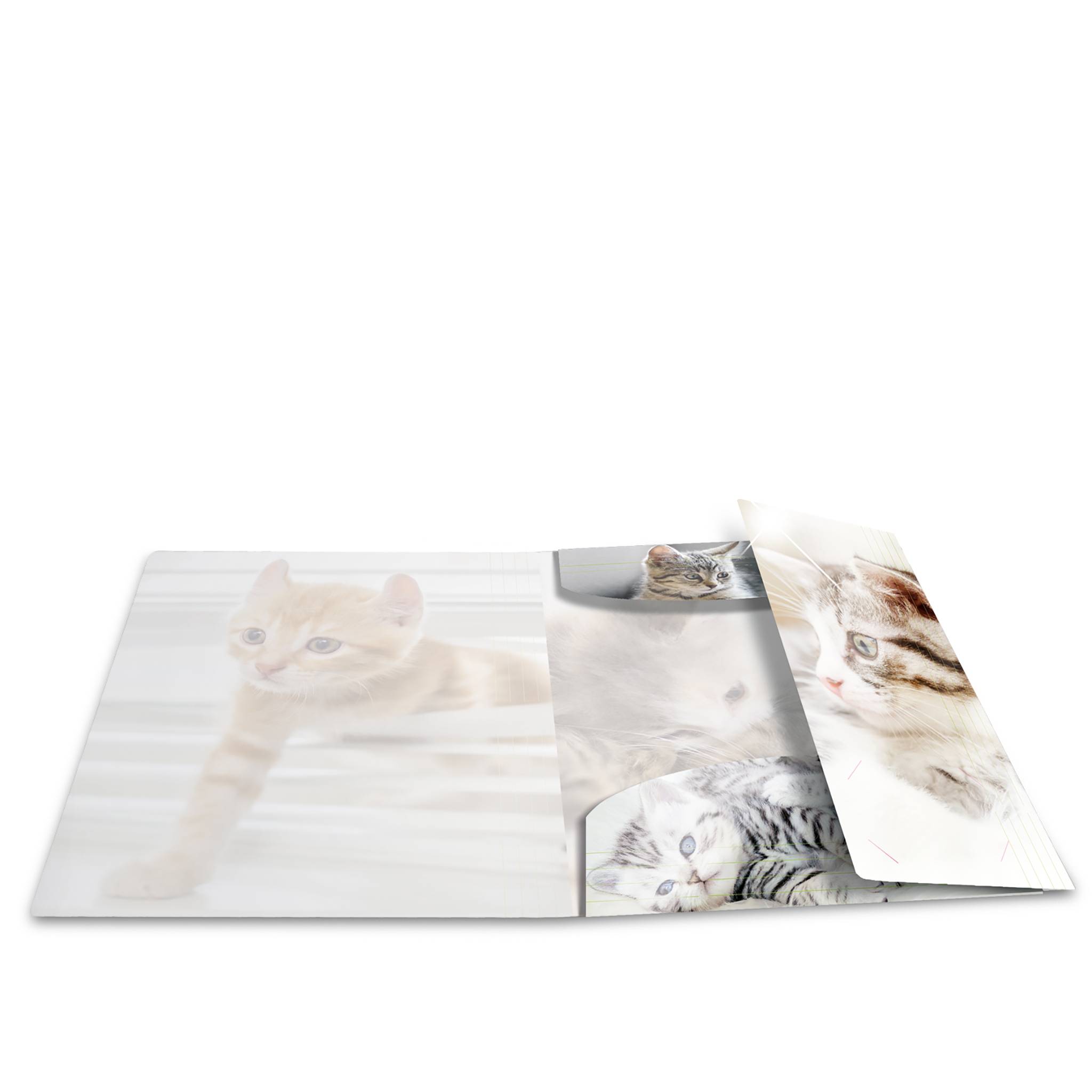 HERMA Eckspannermappe "Katzen", PP Glossy, DIN A4 Maße: (B)244 x (T)4 x (H)320 mm, mit 3 Innenklappen - 1 Stück (19328)-1