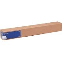 Carta fotografica Epson Photo Paper Gloss(250), in rotoli da 43,18cm (17") x 30, 5m [C13S041892]-2
