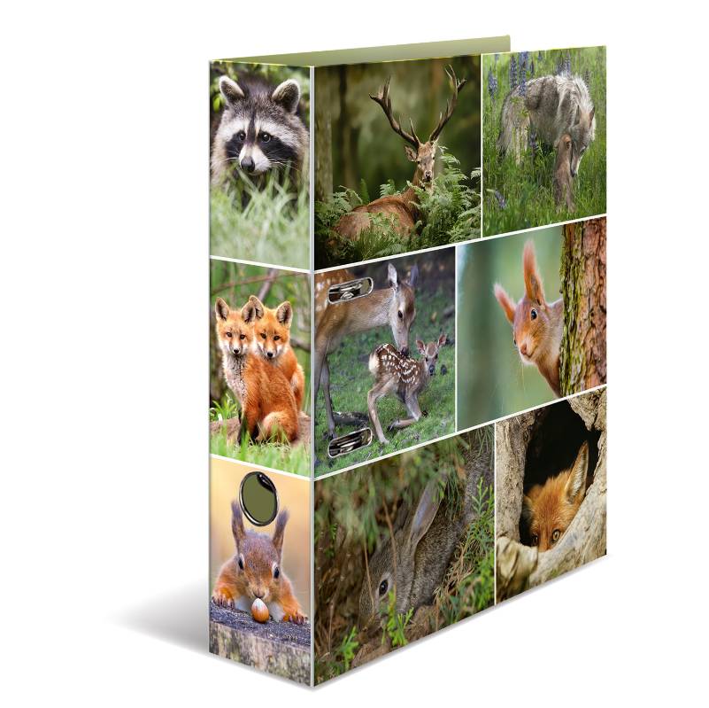 HERMA Motivordner "Animals", DIN A4, Waldtiere Rückenbreite: 70 mm, aus stabilem Karton, bedruckter - 1 Stück (7202)-0