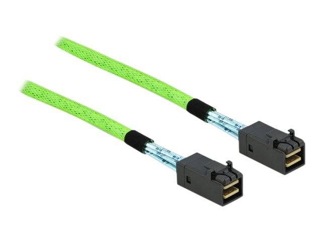 DeLOCK - Internes SAS-Kabel - SAS 64Gbit/s - gerade durchgeführt - Mini SAS HD (SFF-8673) (M) bis Mini SAS HD (SFF-8673)-0