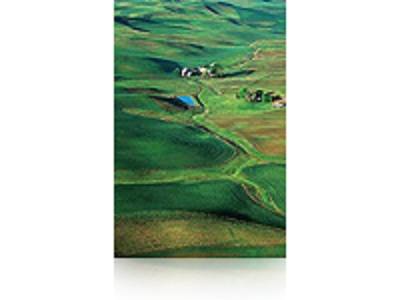 Epson Premium SemiGloss Photo Paper(250), in rotoli da 152, 4cm x 30, 5m-1