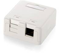 equip Aufputzgehäuse für Keystone Jack (2-Ports) weiß (125122)-2