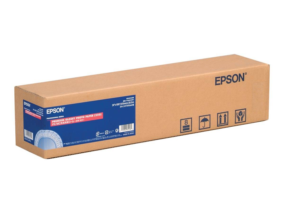 Epson Carta fotografica lucida Premium (250), in rotoli da 60, 96cm (24'') x 30, 5m.-0