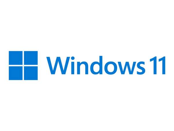 Microsoft Windows 11 Pro for Workstations 1 licenza/e (MS SB Windows 11 Pro for Workstations [UK] DVD)