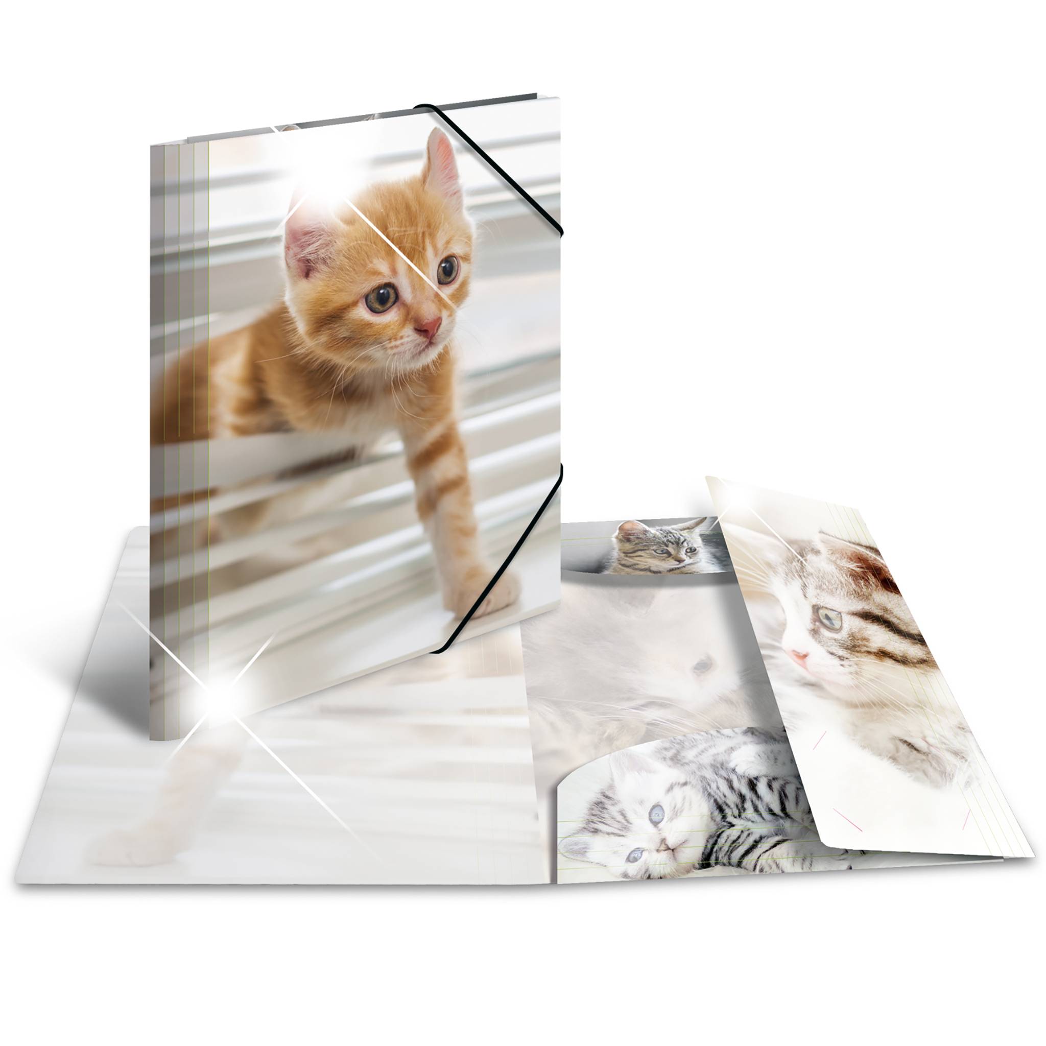 HERMA Eckspannermappe "Katzen", PP Glossy, DIN A4 Maße: (B)244 x (T)4 x (H)320 mm, mit 3 Innenklappen - 1 Stück (19328)-5