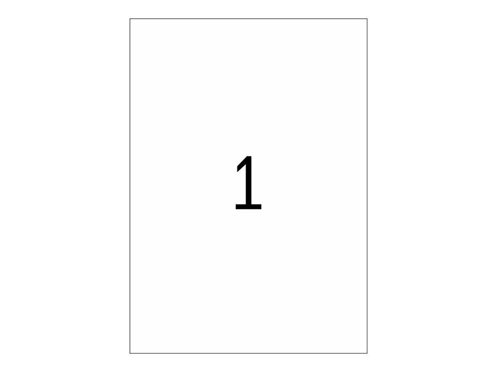 HERMA targhette etichette targhetta Etik.210x297 argento 210,0 x 297,0 mm argento-5