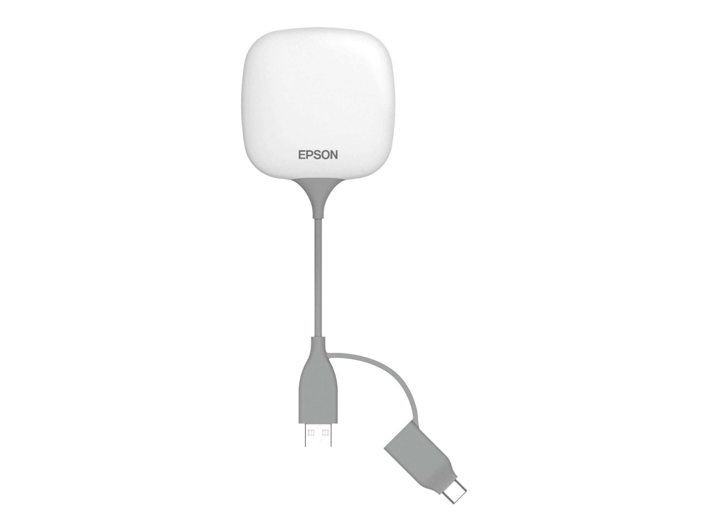 Epson V12HA43040 Accessorio per monitor-8