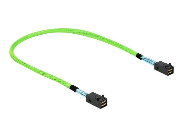 DeLOCK Cavo PCI Express Mini SAS HD SFF-8673 per SFF-8673 0,5 m (Delock SAS internt kabel - 50 cm)-0