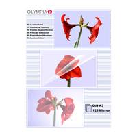 OLYMPIA Folienset 125 Mikron A3 - 50 Stk. (9175)-2