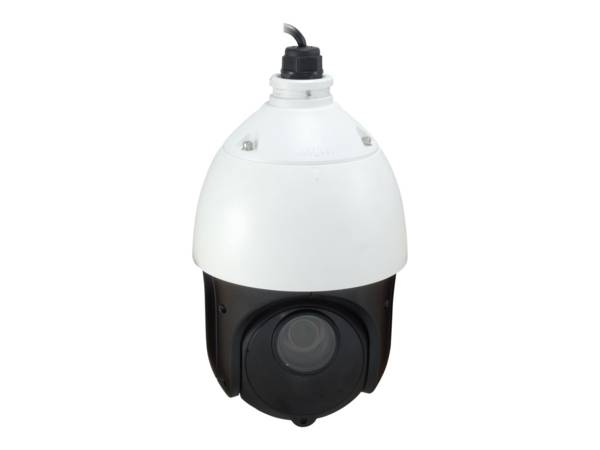 LevelOne FCS-4051 - Telecamera di sorveglianza di rete - PTZ - per esterni, interni - resistente alle intemperie - a col
