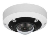 LevelOne FCS-3095 telecamera di sorveglianza Sferico Telecamera di sicurezza IP Interno e esterno 4000 x 3000 Pixel Soff-0