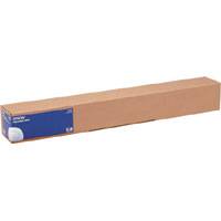 Carta fotografica Epson Photo Paper Gloss(250), in rotoli da 43,18cm (17") x 30, 5m [C13S041892]-3