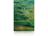Epson Premium SemiGloss Photo Paper(250), in rotoli da 152, 4cm x 30, 5m-4