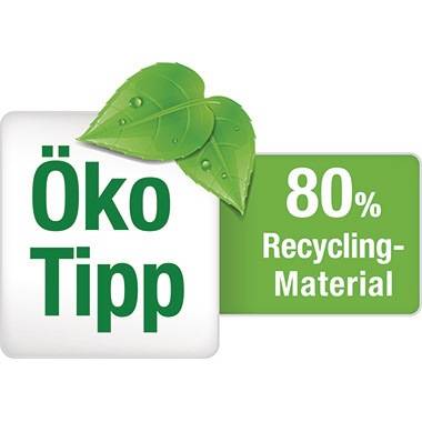Immagine simbolo per Pilot V -Board Master S Begreen Blanca Pye
