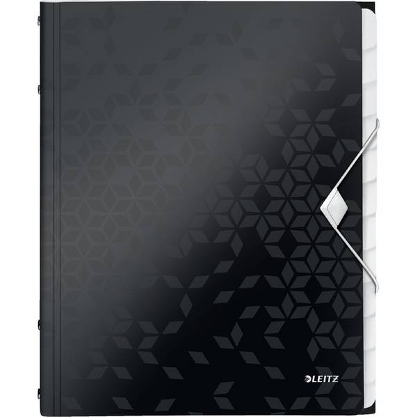 Cartella di ordine Leitz DIN A4 Black 12 volte