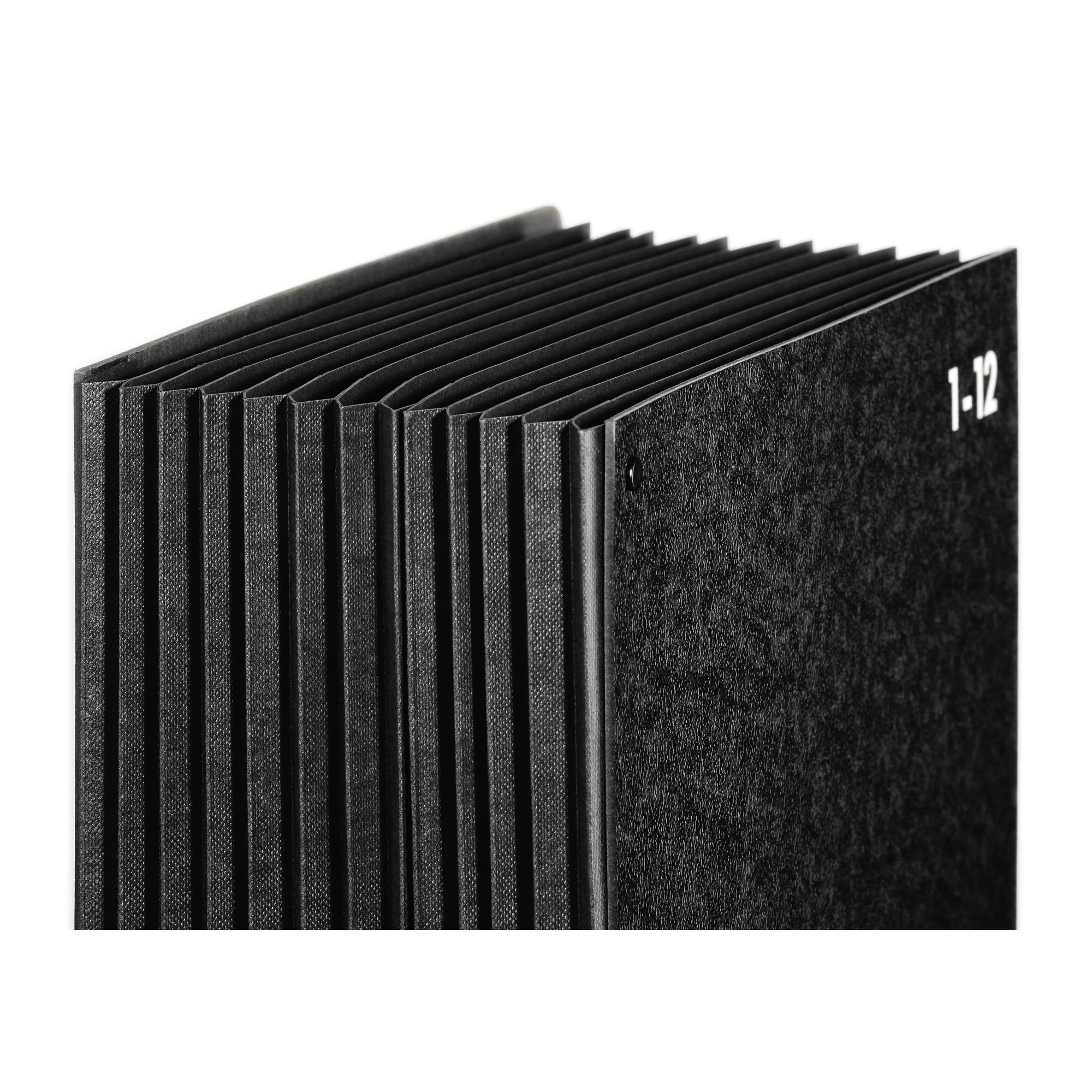 PAGNA 24121-04 Classic Cellulosa spessa Nero DIN A4 Numero scomparti: 12 1-12, Genn.-Dic.-2