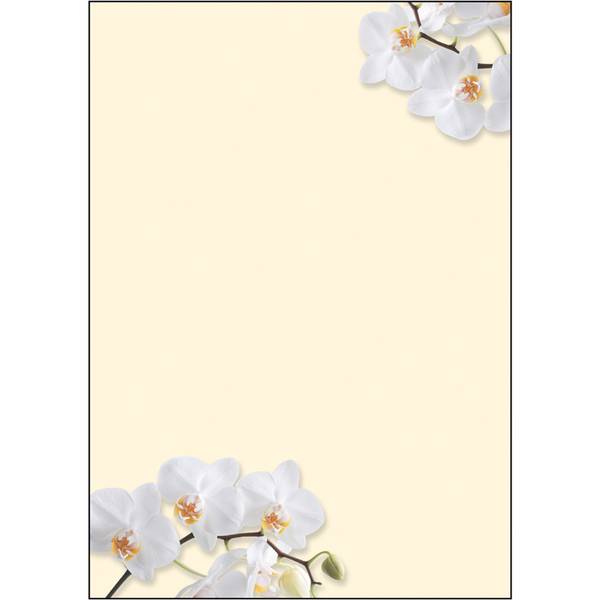 Carta motori a orchidea bianca Sigel DIN A4 90 g/m²