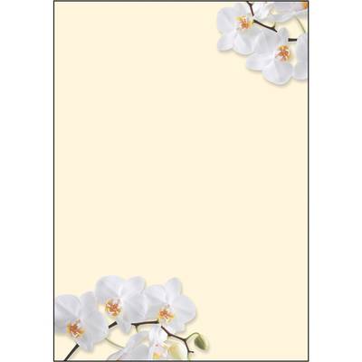 Carta motori a orchidea bianca Sigel DIN A4 90 g/m²-0