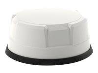 4G/5G 4x4 MiMo 2x2 MiMo WIFI - GPS/GNSS -WHT - Warranty: 12M