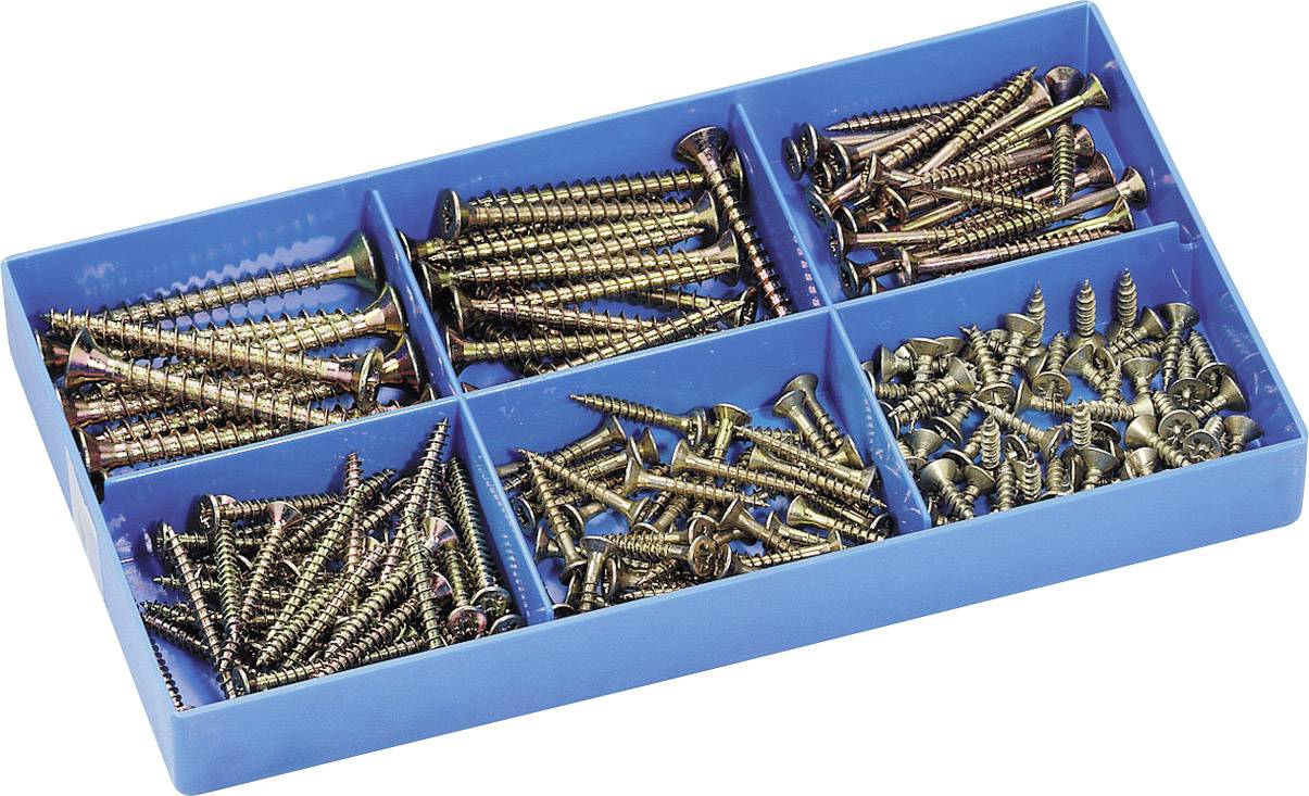 Una scatola organizer blu con sei scomparti, riempita con viti metalliche di dimensioni diverse.