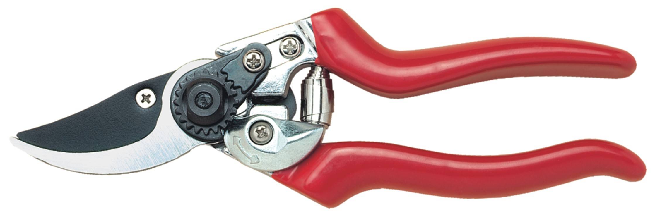 Un paio di forbici da giardino rosse con lame in metallo e un dispositivo di regolazione della tensione per un taglio preciso. Adatte al taglio di piante.