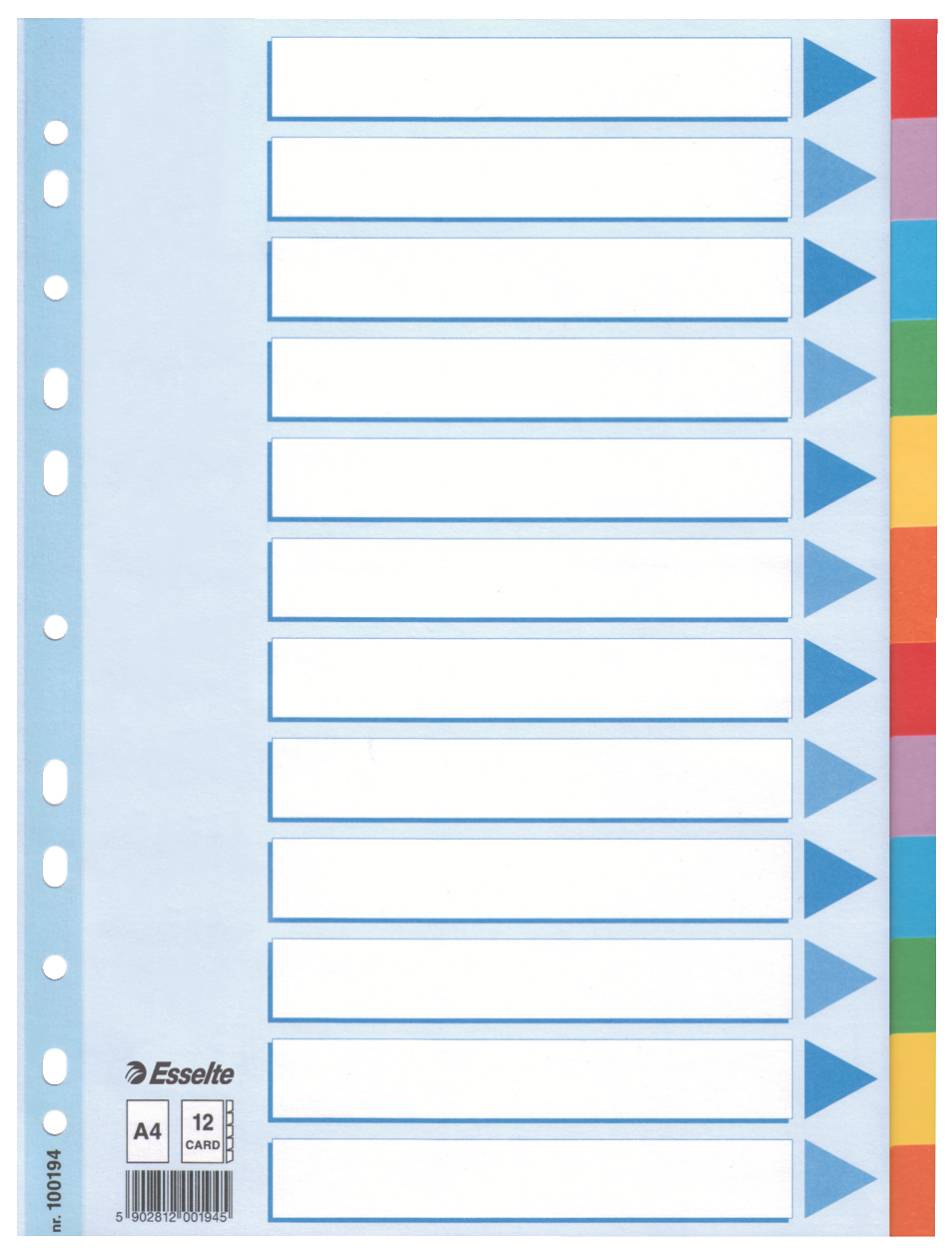 Intercalare in Cartoncino Esselte - A4 - 12 Tasti - 100194 (Multicolore)-1