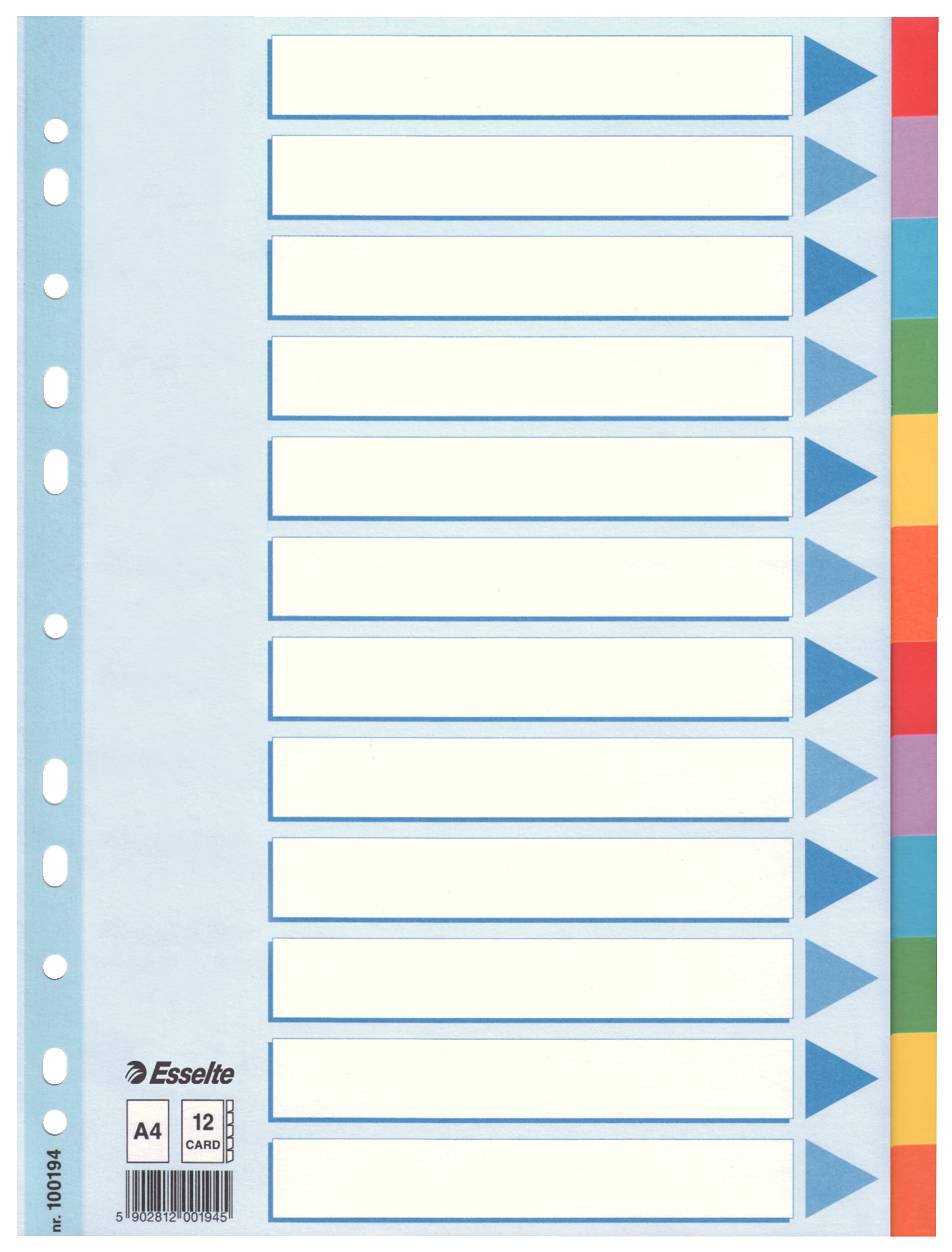 Intercalare in Cartoncino Esselte - A4 - 12 Tasti - 100194 (Multicolore)-2