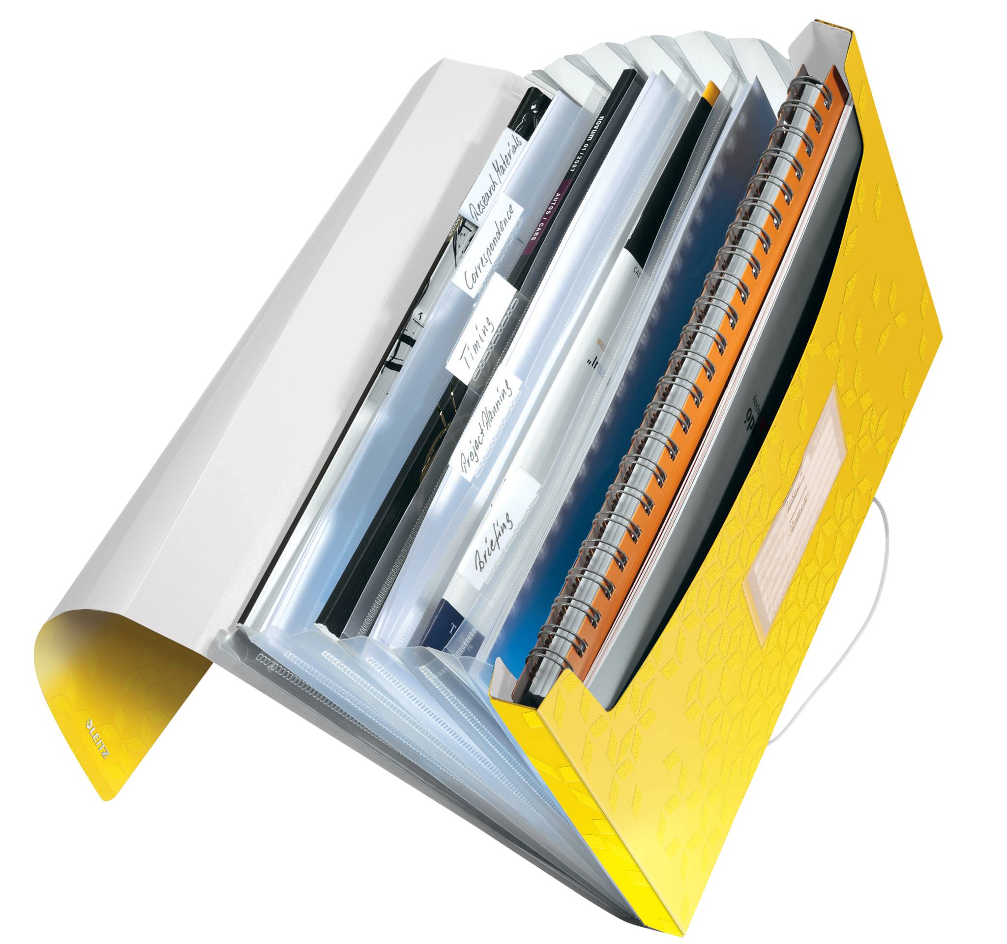Cartella della ventola Leitz DIN A4 6 volte giallo-1