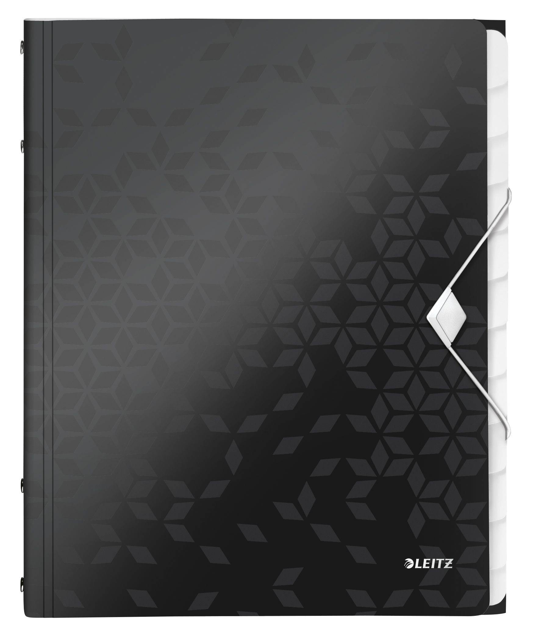 Cartella di ordine Leitz DIN A4 Black 12 volte-1