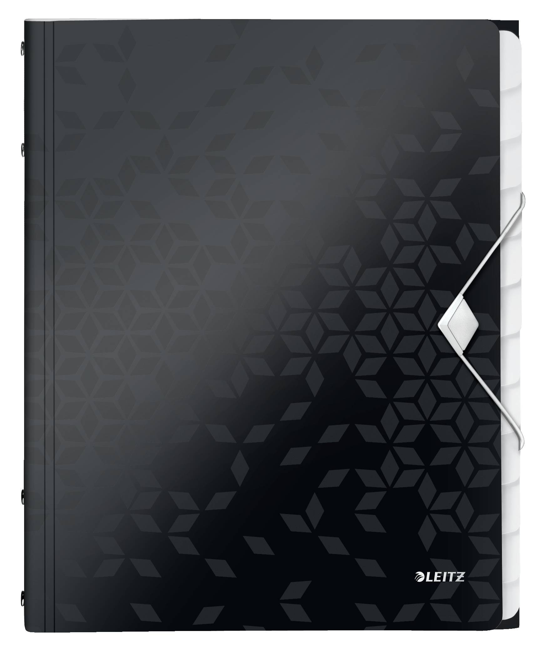 Cartella di ordine Leitz DIN A4 Black 12 volte-2