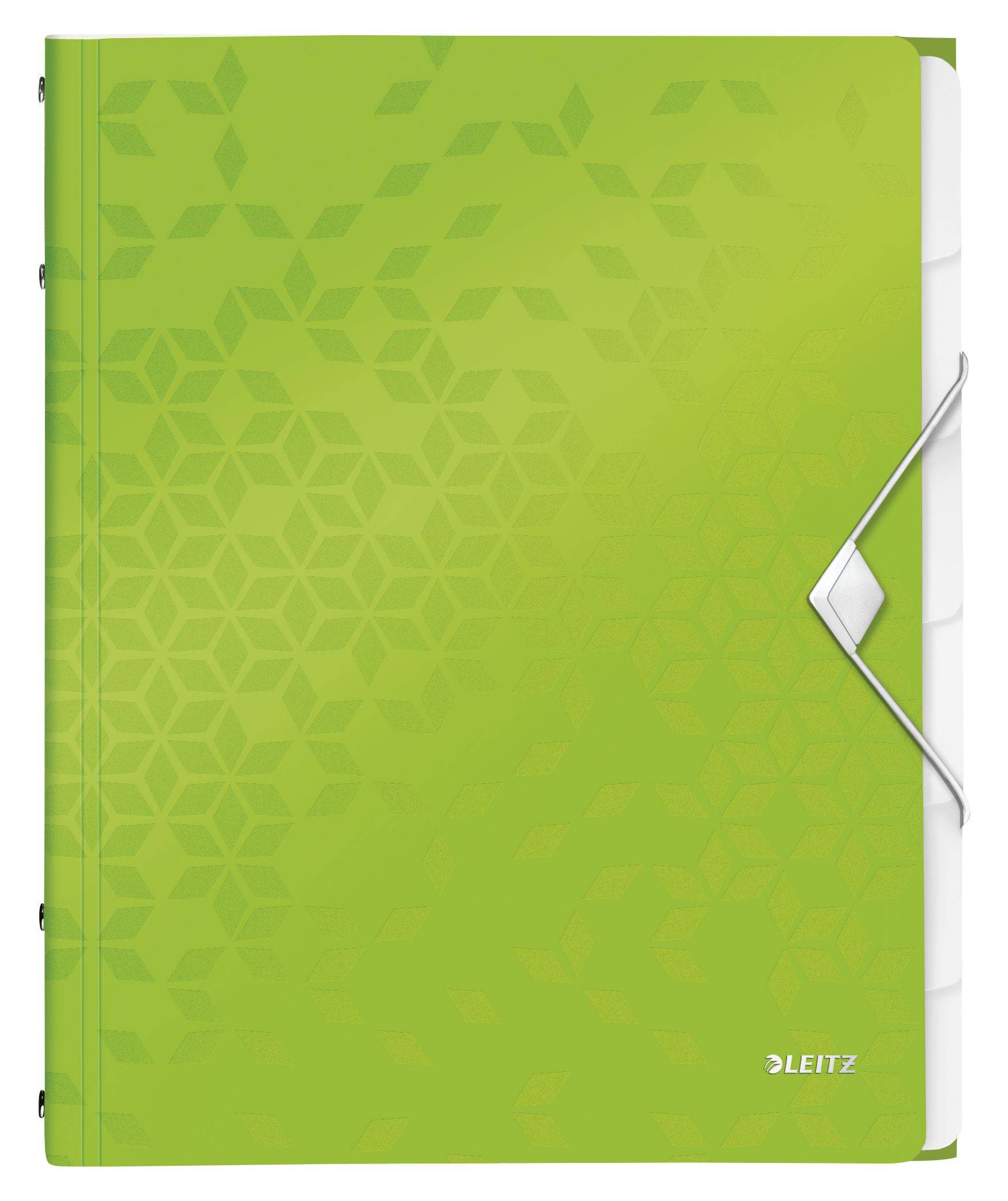 Cartella di ordine Leitz DIN A4 6 volte verde-1