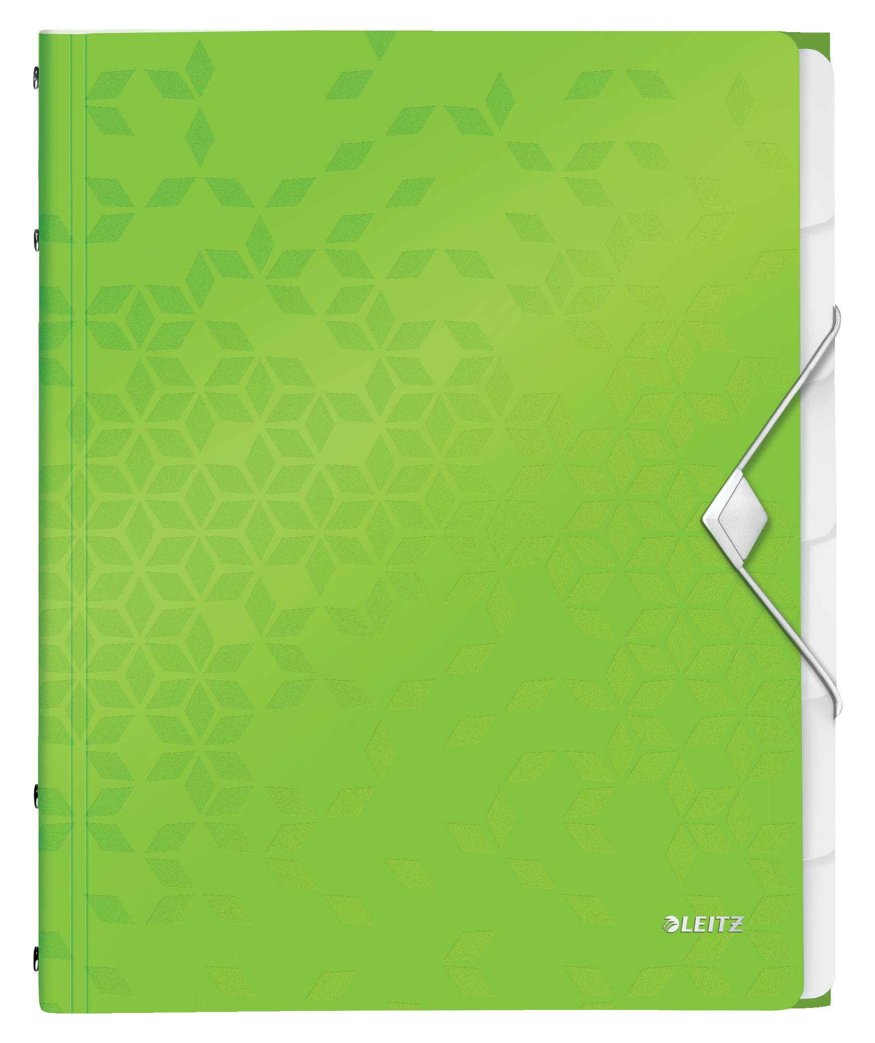 Cartella di ordine Leitz DIN A4 6 volte verde-2