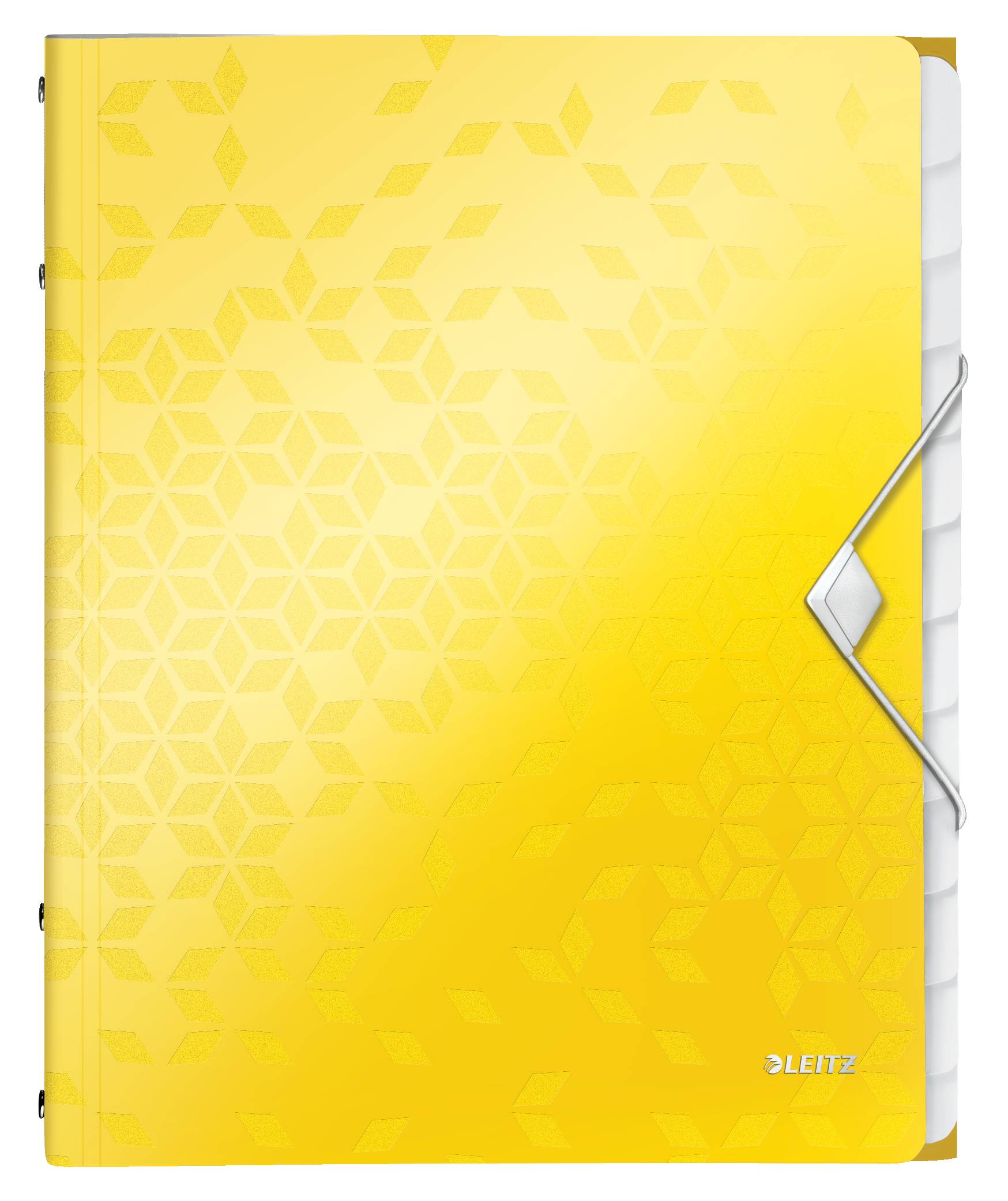 Cartella di ordine Leitz DIN A4 Giallo 12 volte-2