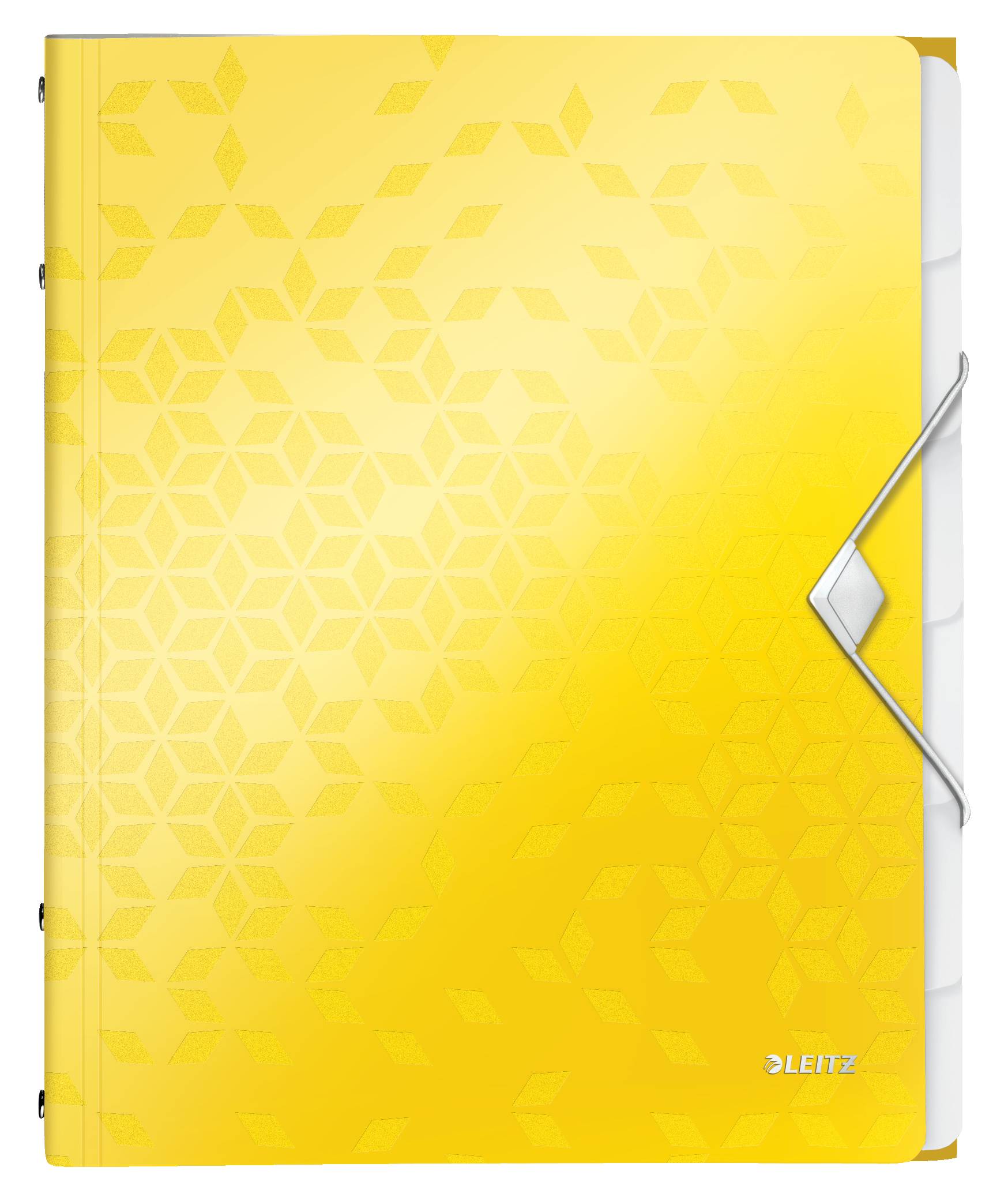 Cartella di ordine Leitz DIN A4 GIALLO 6 volte-2