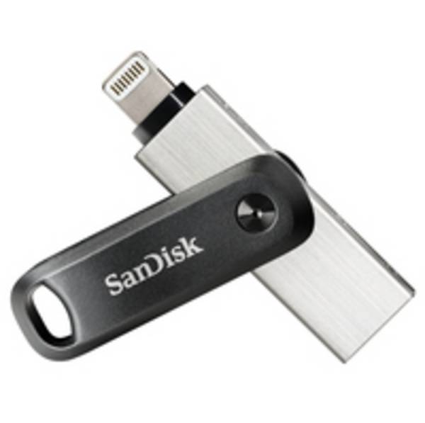 SanDisk SDIX60N-128G-GN6NE unitÃ  flash USB 128 GB 3.2 Gen 1 [3.1 Gen 1] Grigio,