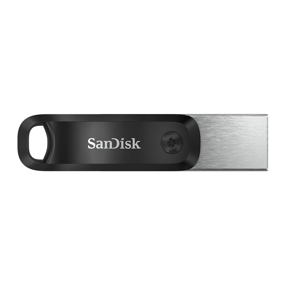 SanDisk SDIX60N-128G-GN6NE unitÃ  flash USB 128 GB 3.2 Gen 1 [3.1 Gen 1] Grigio,-1