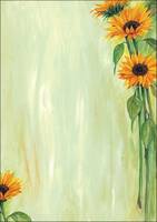 Sigel Sunflower Motivi Paper DIN A4 90 g/m²-1