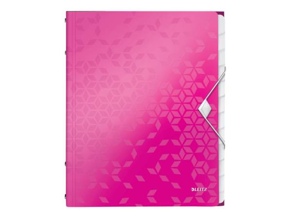 Leitz WOW Polipropilene (PP) Metallico, Rosa