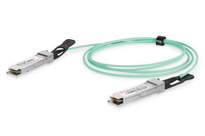 DIGITUS DIGITUS Cavo ottico attivo 100Gbps QSFP28 2m-1