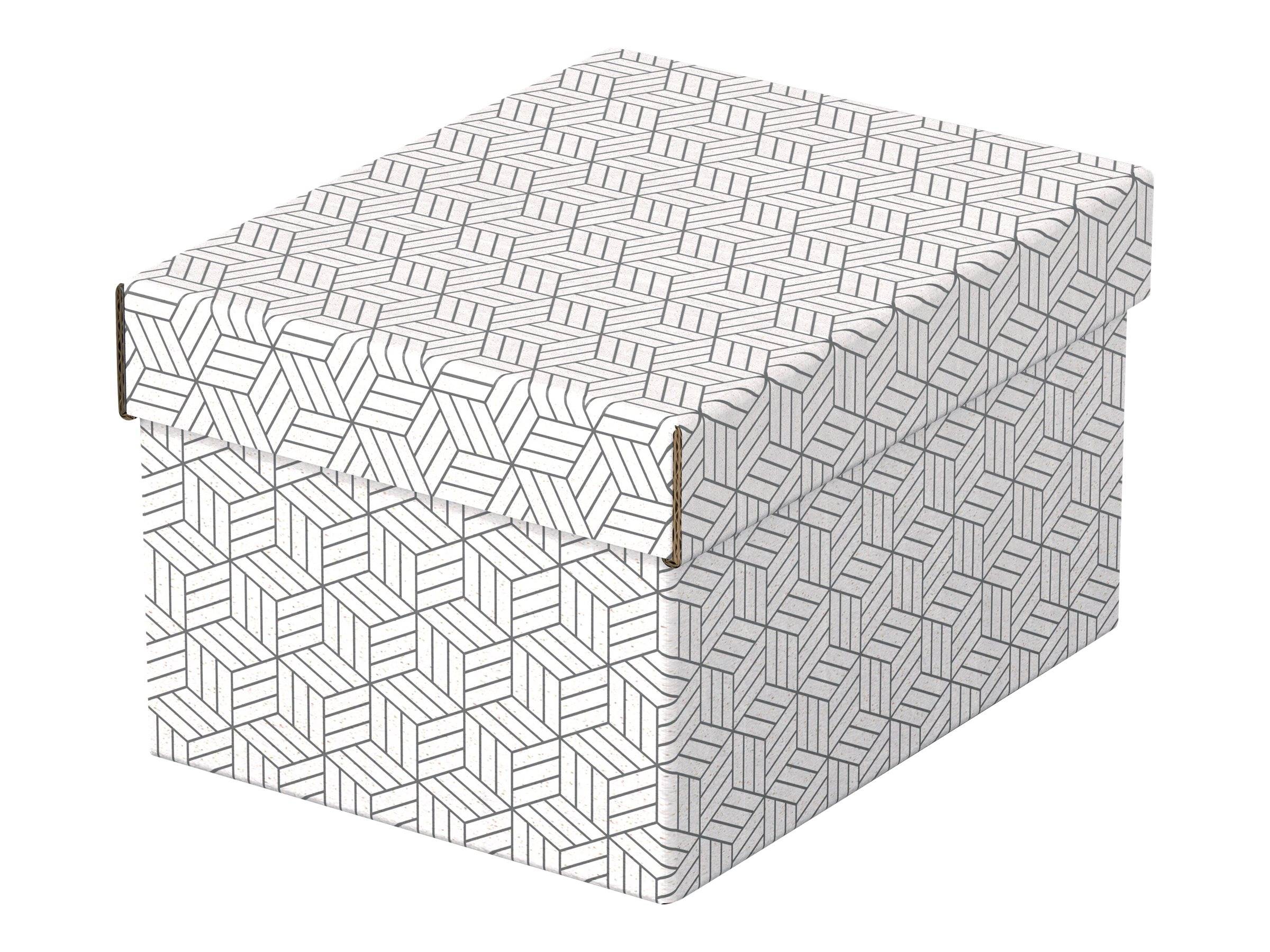 Scatole di archiviazione usa e getta Home 6.5 L - 20,0 x 25,5 x 15,0 cm bianco-1