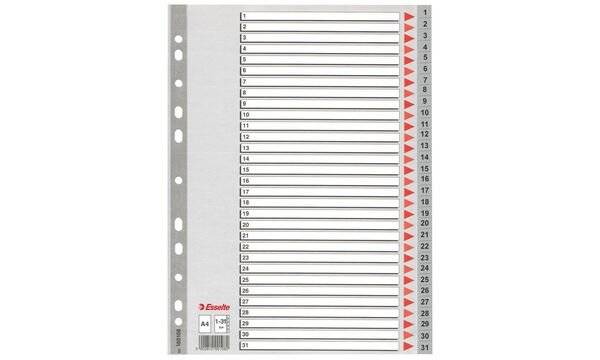 Divisori per rubrica Esselte A4 PPL numerica 1-31 100108-3